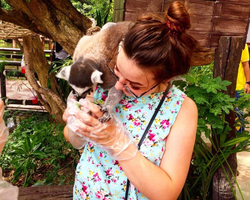 Khao Kheow Open Zoo & Lemur Island from Pattaya Thailand - photo 46