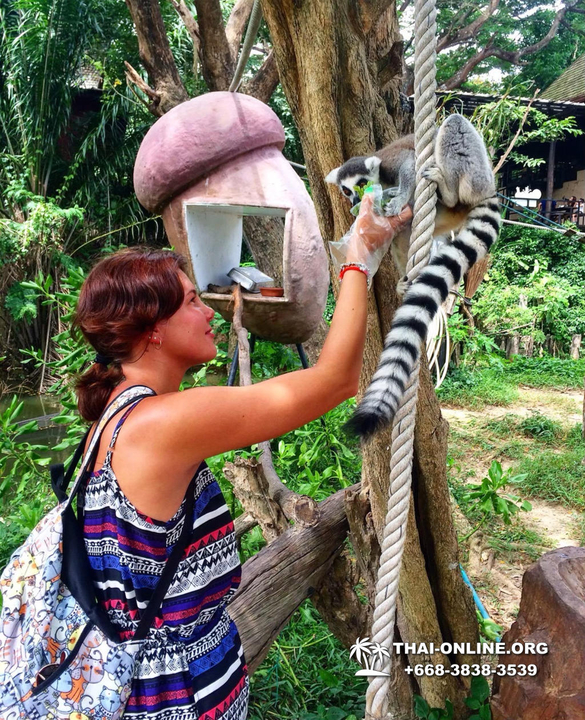 Khao Kheow Open Zoo & Lemur Island from Pattaya Thailand - photo 44