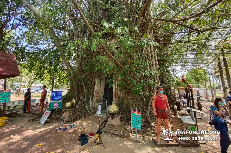 Amphawa city excursion from Pattaya photo 32