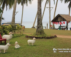 Koh Kud Cabana guided tour from Pattaya Thailand photo 41