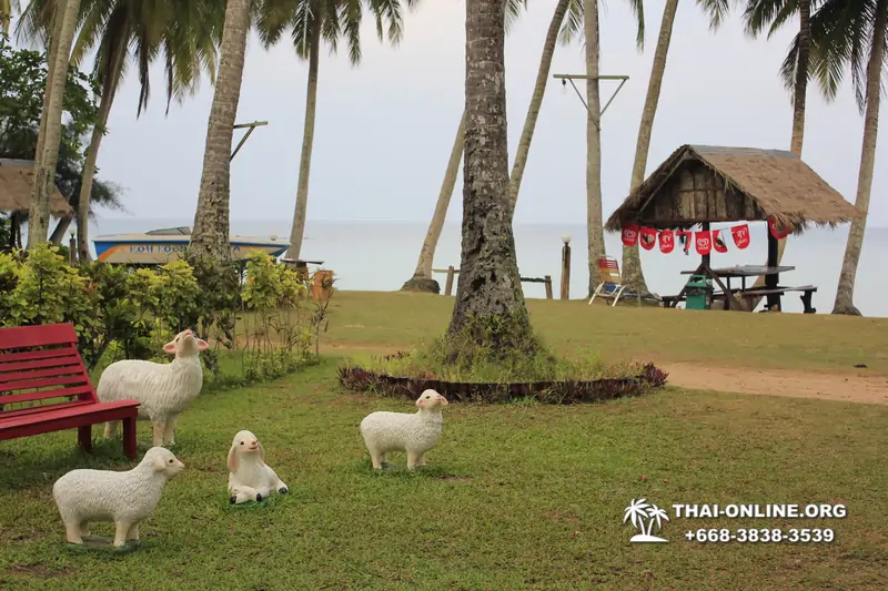 Koh Kud Cabana guided tour from Pattaya Thailand photo 41