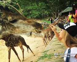 Khao Kheow Open Zoo tour Seven Countries Pattaya Thailand photo 151