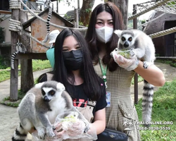 Khao Kheow Open Zoo excursion in Thailand Pattaya photo 237