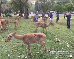 Khao Kheow Open Zoo tour Seven Countries Pattaya Thailand photo 117