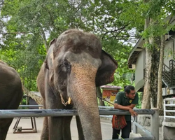 Khao Kheow Open Zoo guided tour from Pattaya Thailand photo 38