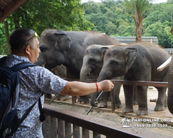 Khao Kheow Open Zoo excursion in Thailand Pattaya photo 238