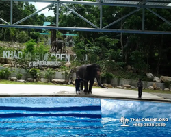 Khao Kheow Open Zoo guided tour from Pattaya Thailand photo 81