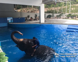 Khao Kheow Open Zoo excursion in Thailand Pattaya photo 289