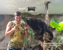 Khao Kheow Open Zoo excursion in Thailand Pattaya photo 306
