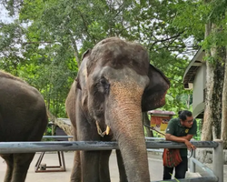 Khao Kheow Open Zoo guided tour from Pattaya Thailand photo 62