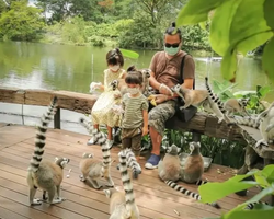 Khao Kheow Open Zoo excursion in Thailand Pattaya photo 261