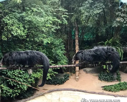 Khao Kheow Open Zoo tour Seven Countries Pattaya Thailand photo 160