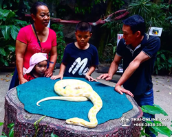 Khao Kheow Open Zoo excursion in Thailand Pattaya photo 209