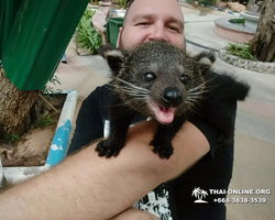 Khao Kheow Open Zoo excursion in Thailand Pattaya photo 344