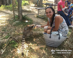 Khao Kheow Open Zoo guided tour from Pattaya Thailand photo 24