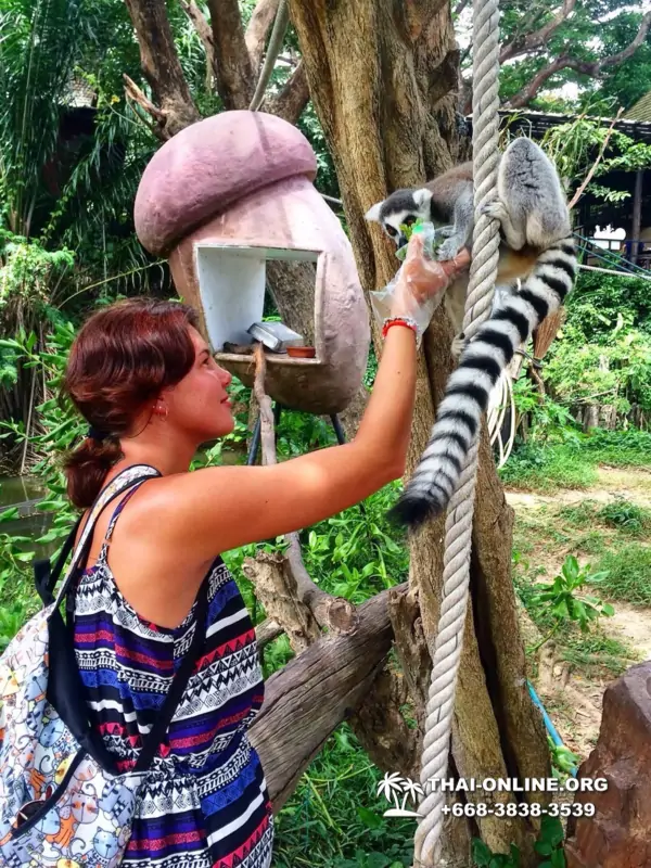Khao Kheow Open Zoo excursion with Seven Countries tour agency in Pattaya photo 23