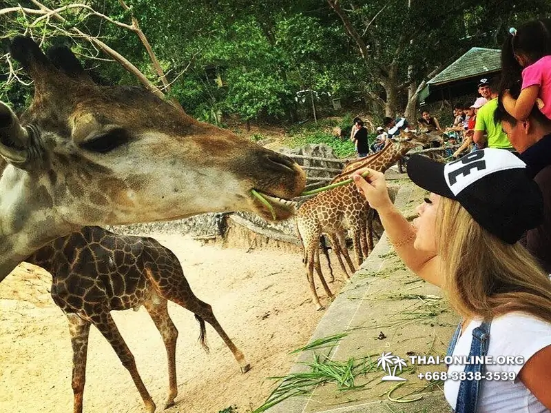 Khao Kheow Open Zoo tour Seven Countries Pattaya Thailand photo 151