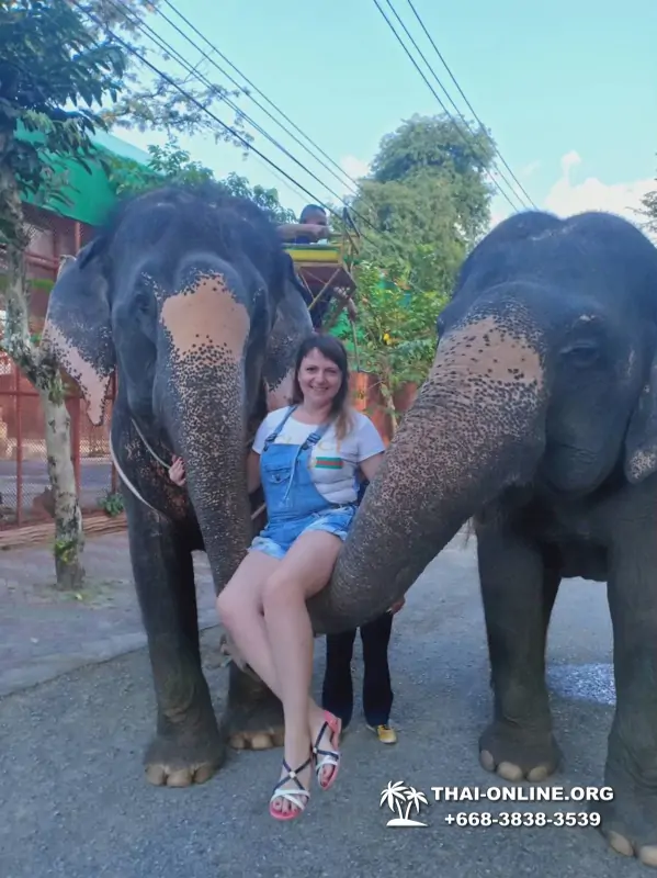 Khao Kheow Open Zoo excursion in Thailand Pattaya photo 318