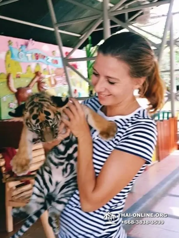 Khao Kheow Open Zoo excursion in Thailand Pattaya photo 331