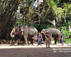 Safari World in Bangkok transfer from Pattaya Thailand photo 177