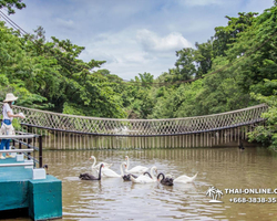 Safari World in Bangkok transfer from Pattaya Thailand photo 16
