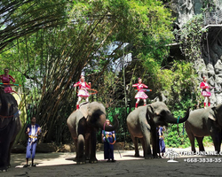 Safari World in Bangkok transfer from Pattaya Thailand photo 178