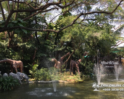Safari World in Bangkok transfer from Pattaya Thailand photo 118