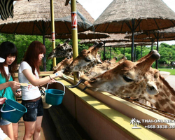 Safari World in Bangkok transfer from Pattaya Thailand photo 104