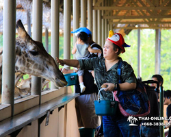 Safari World in Bangkok transfer from Pattaya Thailand photo 28