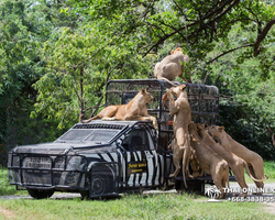 Safari World in Bangkok transfer from Pattaya Thailand photo 46