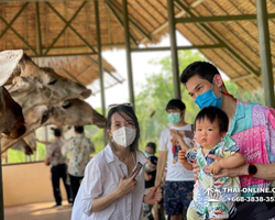 Safari World in Bangkok transfer from Pattaya Thailand photo 62