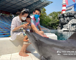 Safari World in Bangkok transfer from Pattaya Thailand photo 61