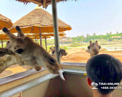 Safari World in Bangkok transfer from Pattaya Thailand photo 111
