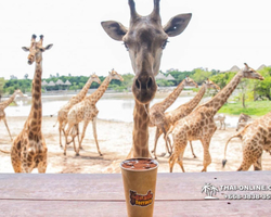 Safari World in Bangkok transfer from Pattaya Thailand photo 4