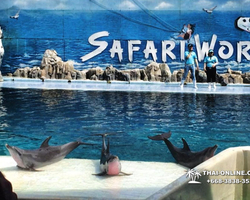 Safari World in Bangkok transfer from Pattaya Thailand photo 192