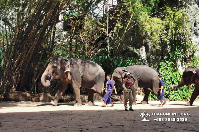 Safari World in Bangkok transfer from Pattaya Thailand photo 177