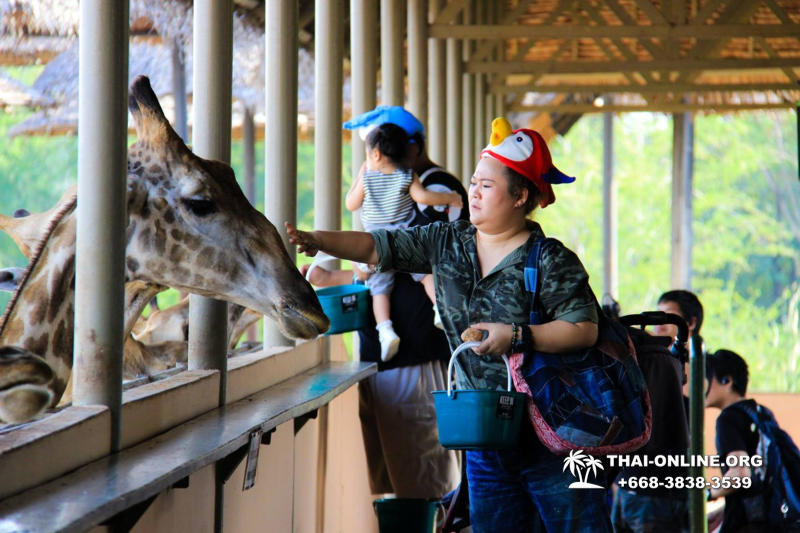 Safari World in Bangkok transfer from Pattaya Thailand photo 28