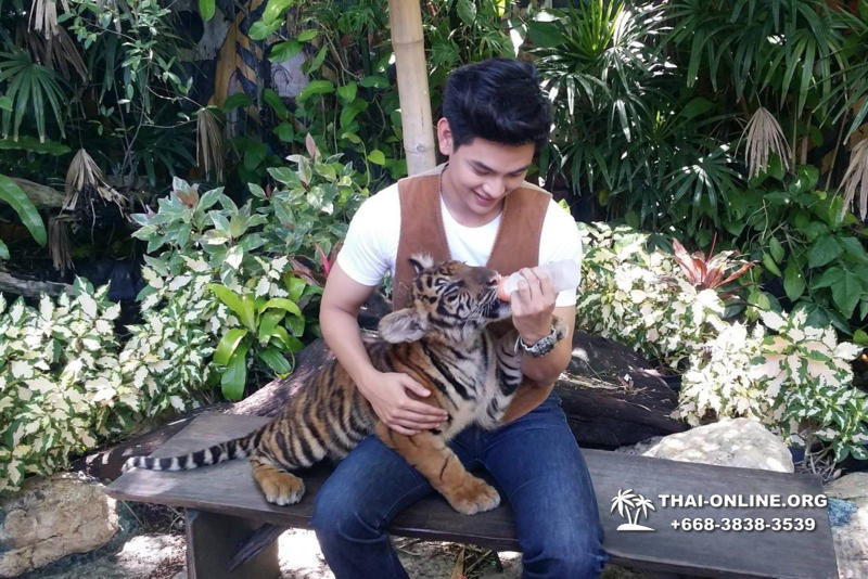 Safari World in Bangkok transfer from Pattaya Thailand photo 34