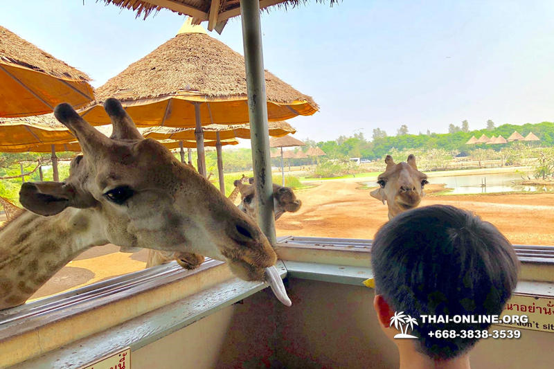 Safari World in Bangkok transfer from Pattaya Thailand photo 111