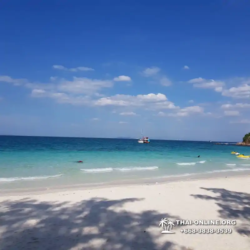 3 Miracle islands Pattaya snorkeling tour - photo 2