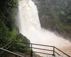 Land of Waterfalls, Khao Yai journey from Thailand Pattaya - photo 82