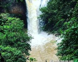 Land of Waterfalls, Khao Yai journey from Thailand Pattaya - photo 29