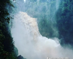 Trip Khao Yai, Land of Waterfalls from Pattaya Thailand photo 109