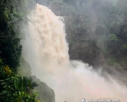 Trip Khao Yai, Land of Waterfalls from Pattaya Thailand photo 111