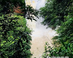Land of Waterfalls, Khao Yai journey from Thailand Pattaya - photo 12