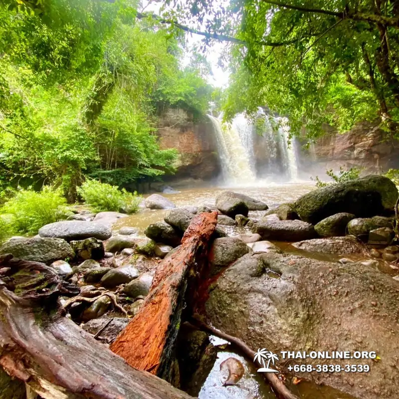 Land of Waterfalls, Khao Yai journey from Thailand Pattaya - photo 10