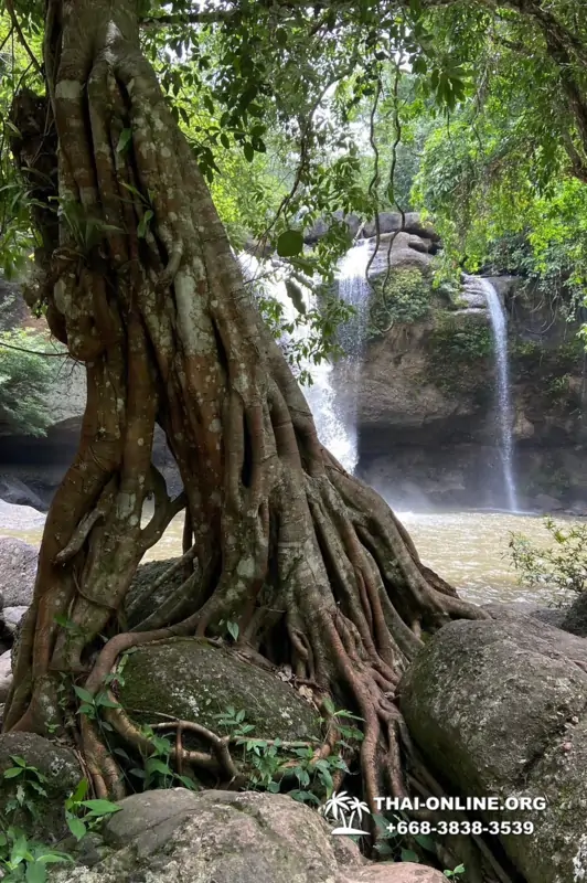 Land of Waterfalls, Khao Yai journey from Thailand Pattaya - photo 52