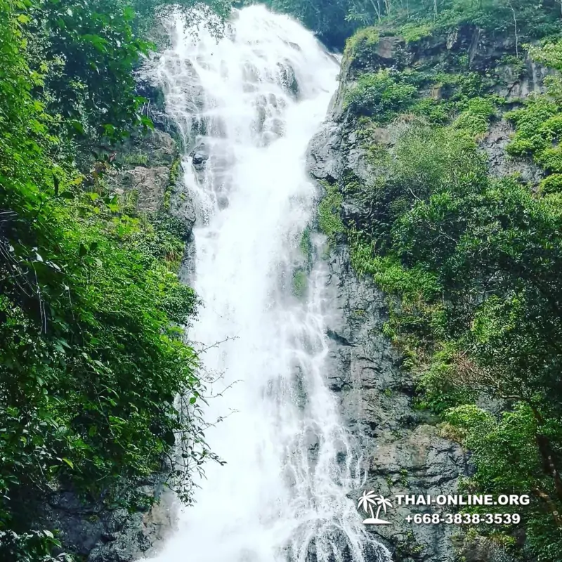 Land of Waterfalls, Khao Yai journey from Thailand Pattaya - photo 22