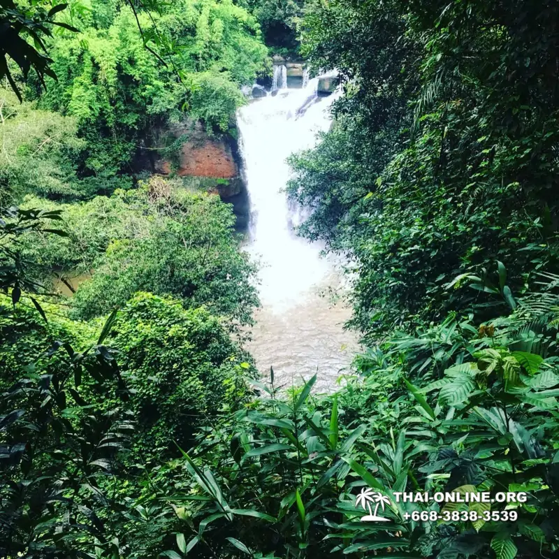 Land of Waterfalls, Khao Yai journey from Thailand Pattaya - photo 3