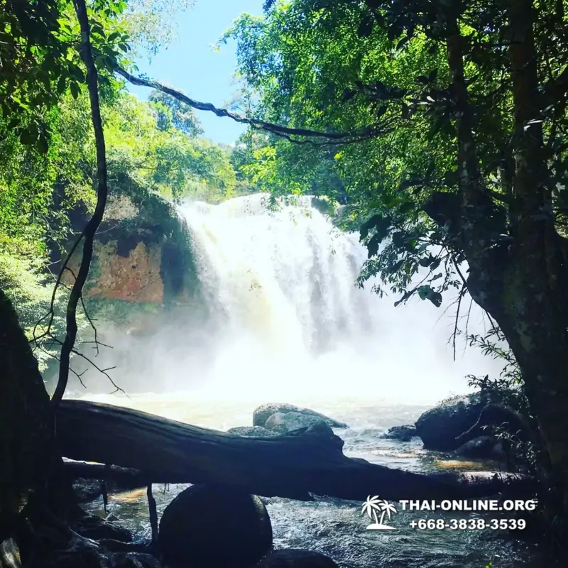 Land of Waterfalls, Khao Yai journey from Thailand Pattaya - photo 57